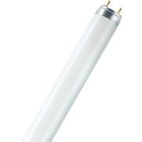 Tube fluorescent Osram Mat G13 58 W L 58 W/830 Blanc chaud 25 Unités