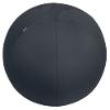Ballon d'assise antibasculement Leitz Ergo Active 6542 Poignée de transport Lavable 65 cm Jusqu'à 150 kg Gris foncé