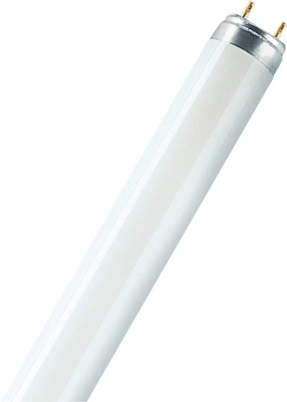 Tube fluorescent Osram Mat G13 18 W L 18 W/830 Blanc chaud 25 Unités