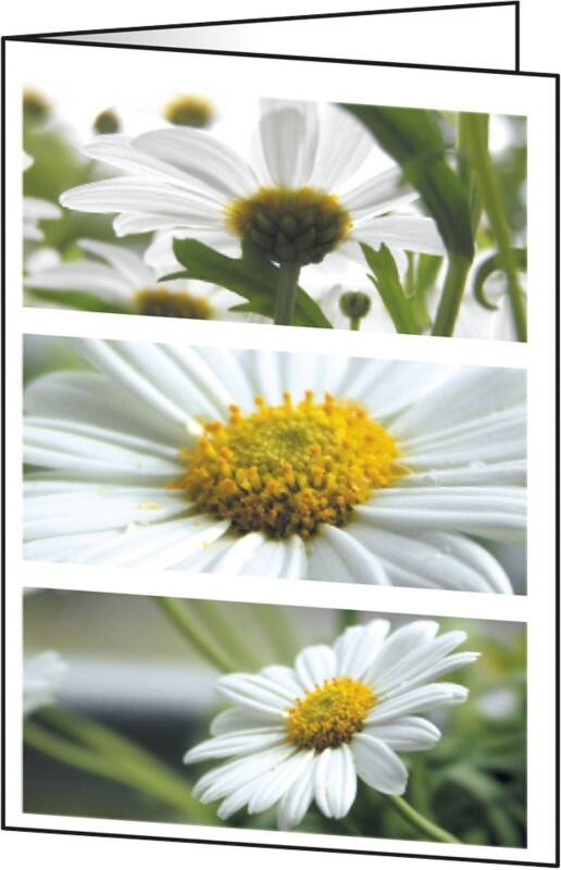 Carte de vœux Sigel DC171 220 g/m² 10,5 x 14,8 cm A6 Assortiment 25 Unités