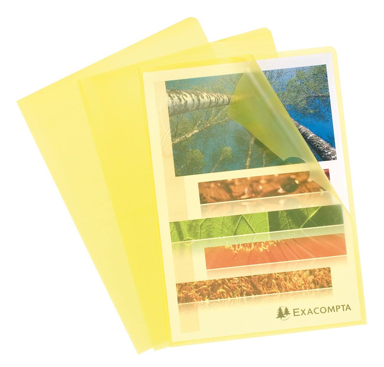 Pochettes coin Exacompta A4 Jaune PP (Polypropylène) 120 microns 100 unités