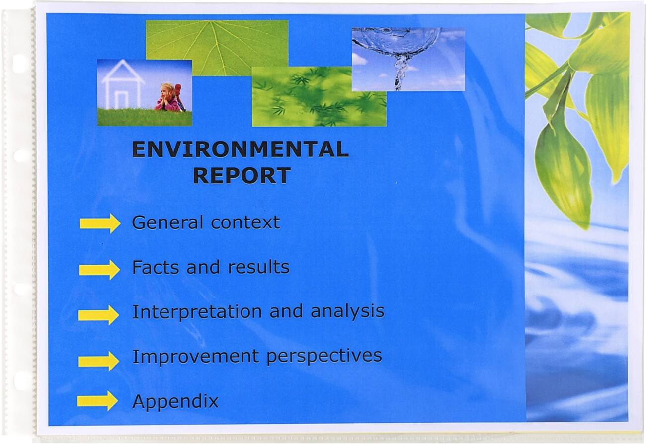 Pochettes perforées Exactive Exacompta A4 Transparent 55 microns PP (Polypropylène) Ouverture par le haut 4 perforations Paysage 5734E 100 unités