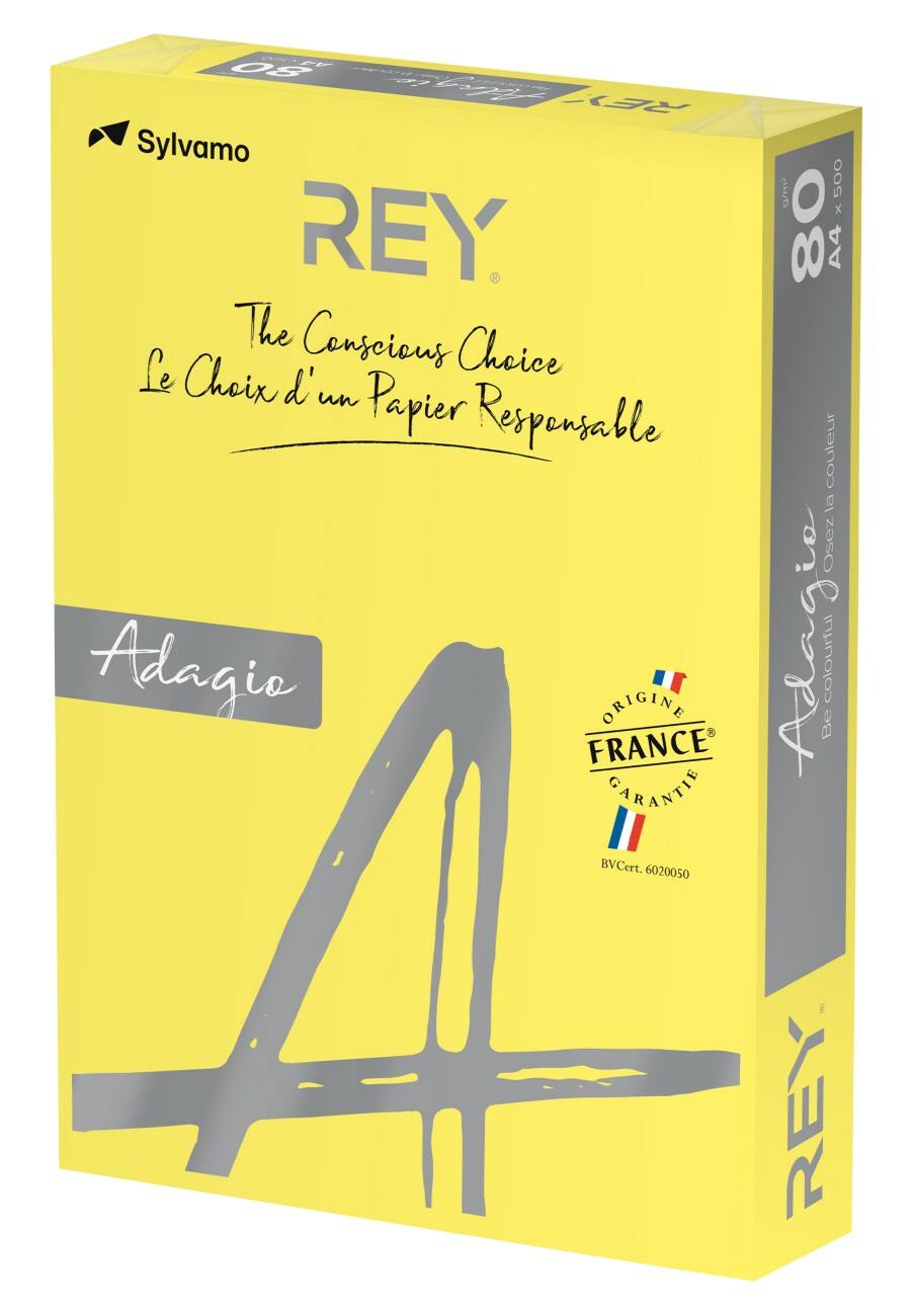 Papier couleur Rey A4 120 g/m² Jaune intense 250 Feuilles