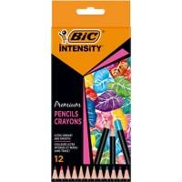 Crayon de couleur BIC Intensity Assortiment 12 unités