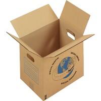 RAJA Carton Paroi simple Carton 350 (l) x 300 (P) x 550 (H) mm Brun 20 Unités