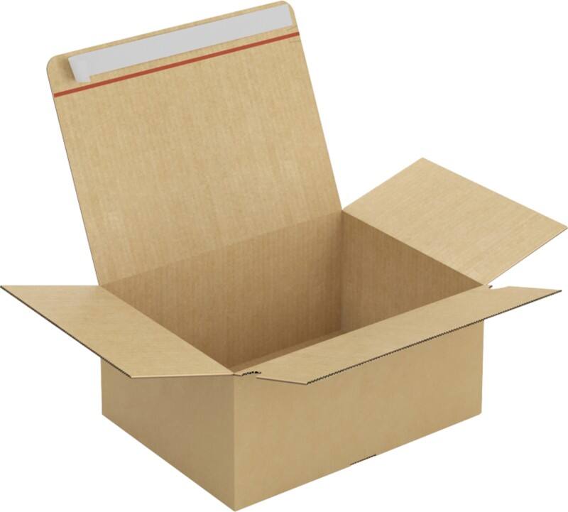 Caisse en carton Raja Marron 39 x 29 x 18 cm 20 Unités