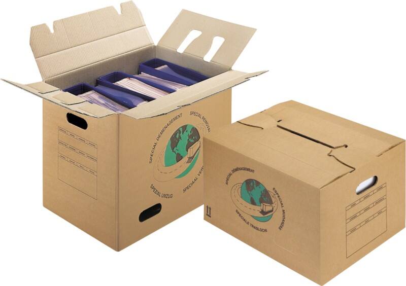 Carton de déménagement Raja Marron 370 x 350 mm 10 unités