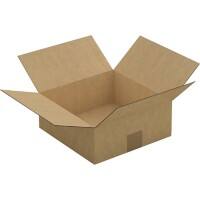 RAJA Boîte d'expédition Paroi simple Carton 250 (l) x 100 (P) x 250 (H) mm Brun 25 Unités