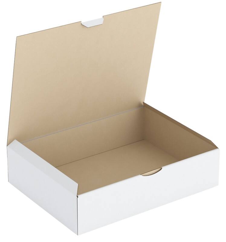 RAJA Boîte d'expédition Paroi simple Carton 250 (l) x 80 (P) x 330 (H) mm Blanc 50 Unités