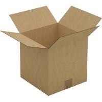 RAJA Boîte d'expédition Paroi simple Carton 250 (l) x 250 (P) x 250 (H) mm Brun 25 Unités
