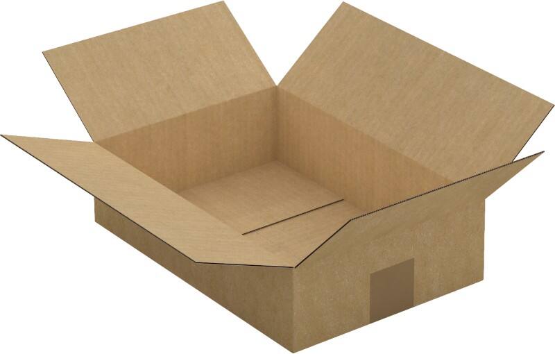 Caisse en carton Raja Marron 310 x 215 x 80 mm 25 Unités