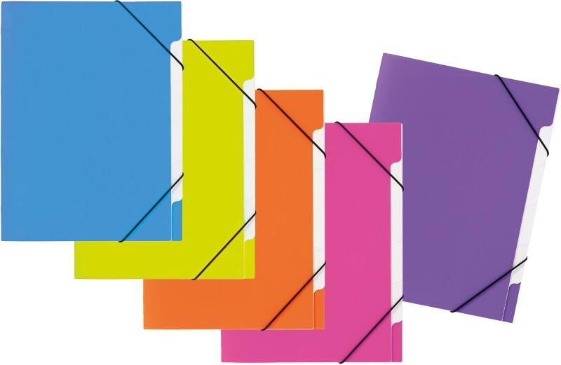 Trieur PAGNA A4 Vierge PP 5 compartiments Multicolore 24,5 x 4 x 32 cm (l x p x h) 5 unités