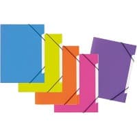 Trieur PAGNA A4 Vierge PP 5 intercalaires Multicolore 24,5 x 4 x 32 cm (l x p x h) 5 unités