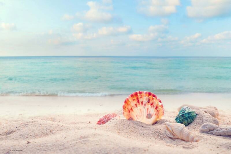 Sous-main cover your desk Traumstrand Vinyle Multicolore 40 x 60 cm