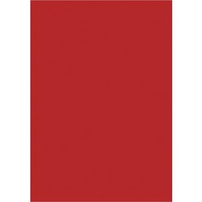 Plaquette magnétique MAUL Rouge 20 x 30 cm