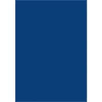 Plaquette magnétique MAUL Bleu 20 x 30 cm