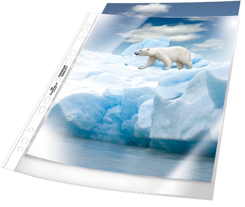 Pochettes perforées DURABLE Premium A4 Granuleux Transparent 80 microns PP (Polypropylène) Ouverture par le haut 11 perforations 2682 50 unités