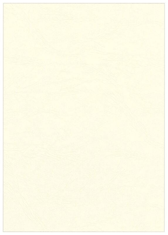 Couverture pour reliure Fellowes Delta A4 Pâte à papier Ivoire 100 Unités