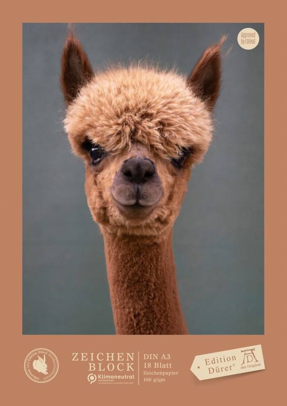 Carnet millimétré Staufen Dürer A3 18 feuilles 100 g/m² 4 motifs