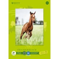 Carnet millimétré Staufen Dürer Green A3 18 feuilles 100 g/m² 4 motifs