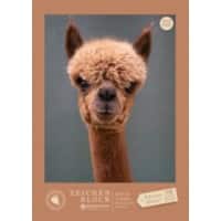 Carnet millimétré Staufen Dürer A4 18 feuilles 100 g/m² 4 motifs