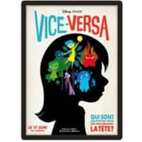 Cadre d'affichage Djois Magneto A2 Adhésif Noir Adhésif PVC (Polychlorure de vinyle) 192957 46,2 (L) x 0,2 (P) x 63,6 (H) cm