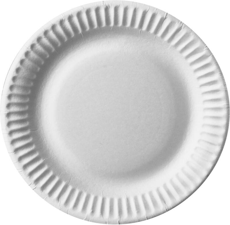 Assiette PAPSTAR Pure Jetable Carton 190 mm Blanc 100 unités