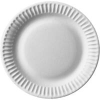 Assiette PAPSTAR Pure Jetable Carton 190 mm Blanc 100 unités