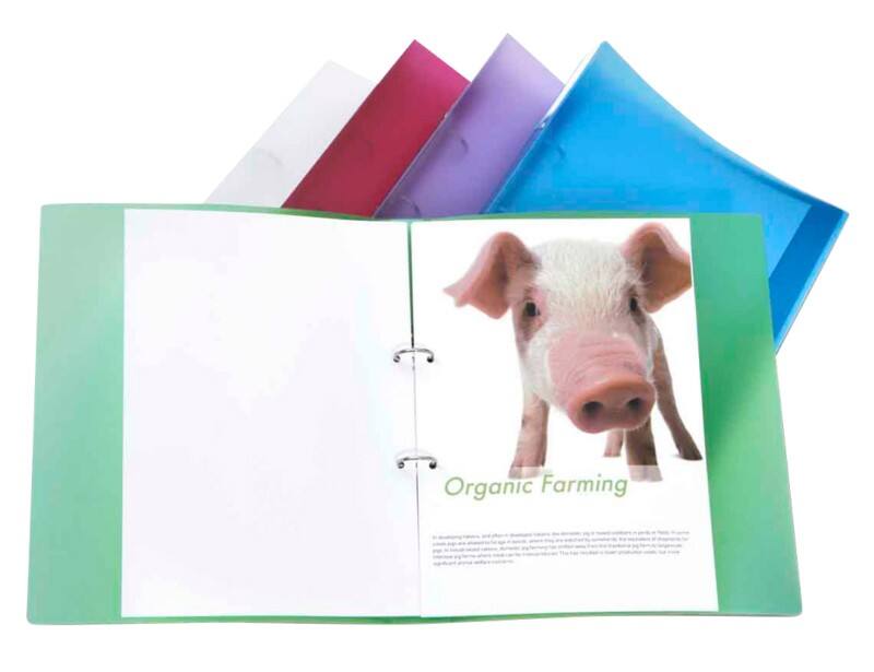 Classeur à anneaux Rapesco 25 mm PP (Polypropylène) A4 2 Anneaux Assortiment 10 Unités