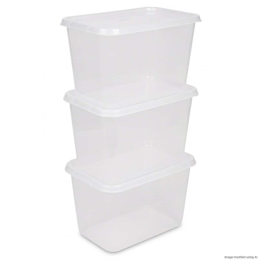 Boîte de rangement Viking Basic PP (Polypropylène) 58 L Avec couvercle Transparent 4 x 5,9 x 3,85 cm 3 unités