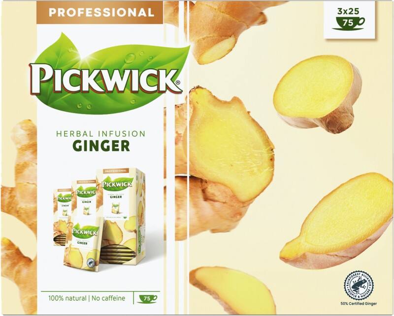 Thé Pickwick Professional Tisane Sacs Gingembre 25 unités de 1,5 g