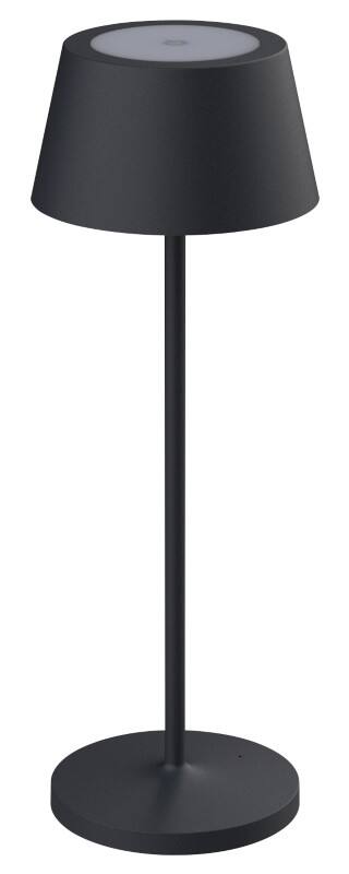 Lampe de bureau Maul Autoportant LED remplaçable Anthracite Pile 120 x 120 x 340 mm