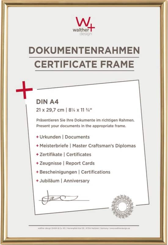 Cadre photo walther design A4 Doré KG130H 22,1 (L) x 1,9 (P) x 30,8 (H) cm KG130H