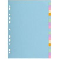Intercalaires Vierge Exacompta Forever Assortiment 20 intercalaires 170 g/m² Carton 2620E
