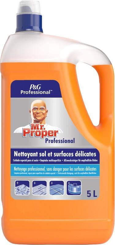 Nettoyant pour sol Mr. Proper PROFESSIONAL Liquide 8001090471086 5 L