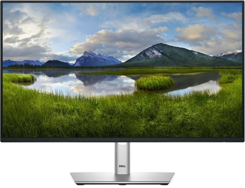 Moniteur Dell P Series 61 cm (24") LCD P2425HE