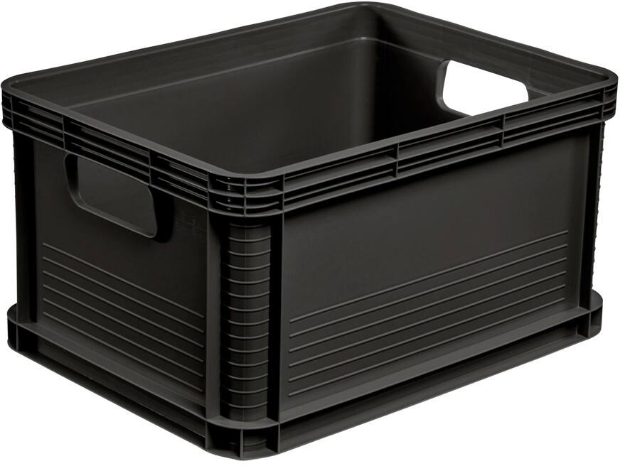 Boîte de rangement keeeper Robert Polypropylène 20 L Avec couvercle Gris 30 x 22 cm