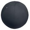 Ballon d'assise antibasculement Leitz Ergo Active 6543 Poignée de transport Lavable 75 cm Jusqu'à 150 kg Gris foncé