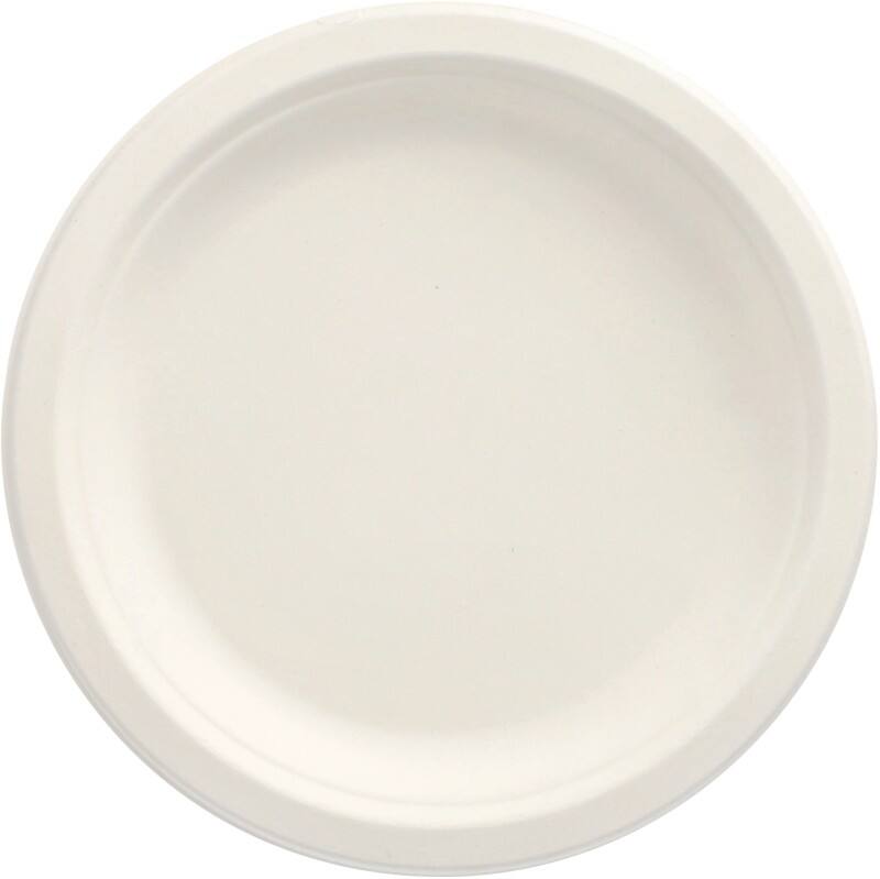Assiette PAPSTAR Blanc 50 unités