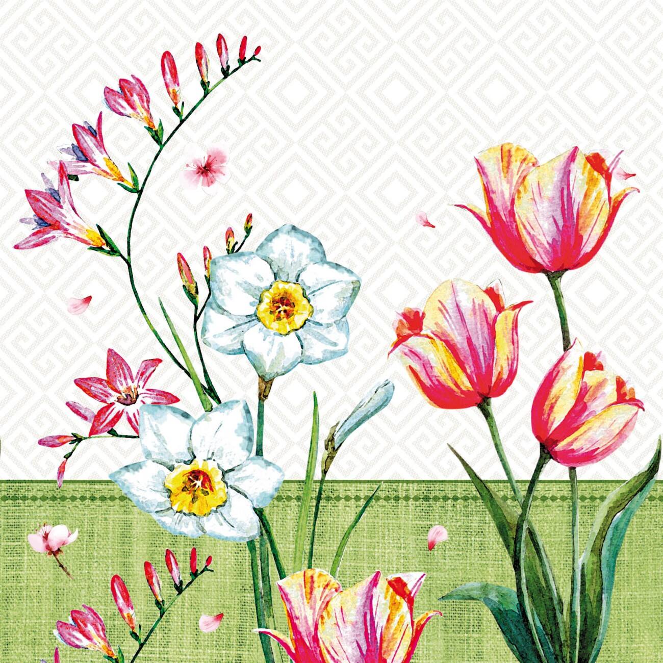 Serviettes PAPSTAR Florentina Tissu Multicolore 33 x 33 cm 100 unités