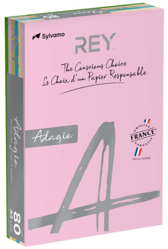 Papier couleur A4 Rey Adagio Assortiment 80 g/m² 5 x 100 feuilles