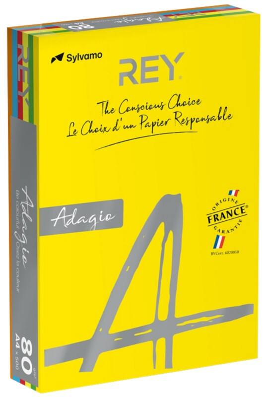 Papier couleur A4 Rey Adagio Assortiment 80 g/m² 5 x 100 feuilles