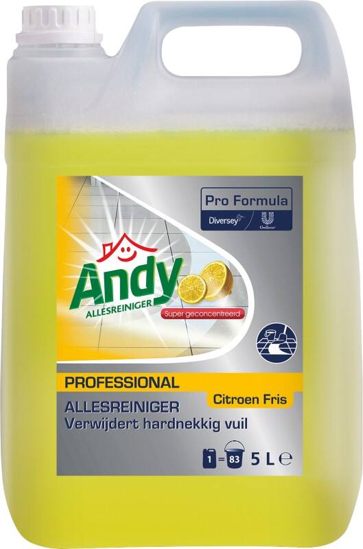 Nettoyant toutes surfaces Andy Citron 2 Unités de 5 L
