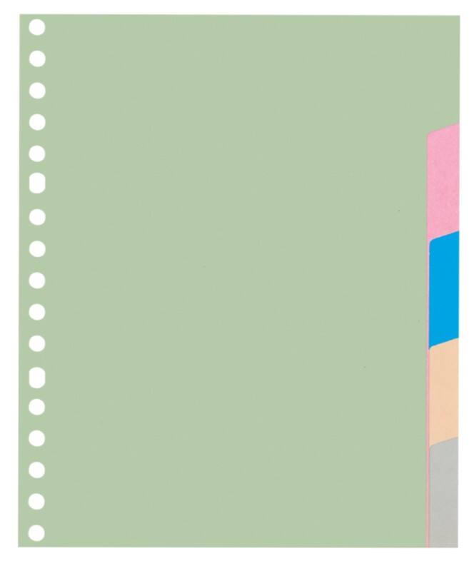 Intercalaires vierges Vierge KANGARO  A5 Assortiment 5 intercalaires 180 g/m² Carton 17 Perforations P505M 5 Feuilles
