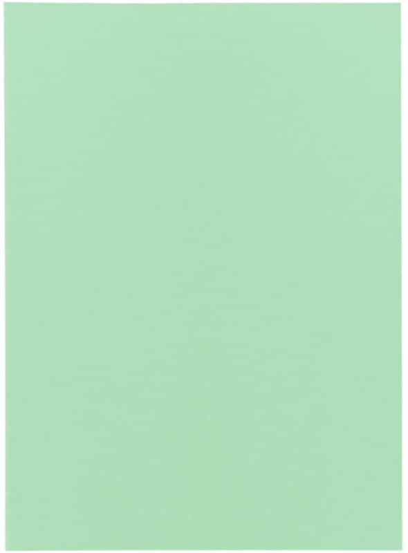 Exacompta Super Dossier A4 Vert Carton 60 g/m² 250 Unités