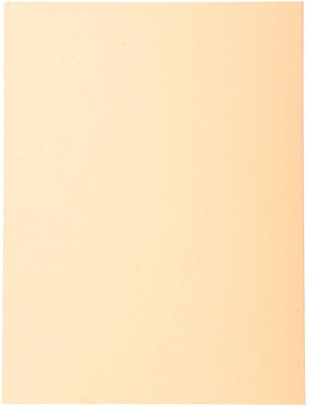 Exacompta Forever Dossier A4 Crème Manille Recyclé 100% 170 g/m² 100 Unités