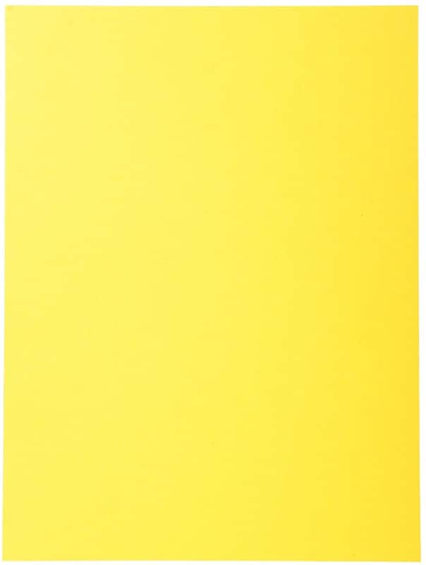 Exacompta Forever Dossier A4 Jaune Manille Recyclé 100% 170 g/m² 100 Unités