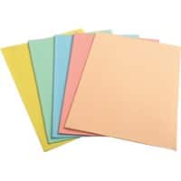 Sous-fardes Exacompta 850000E A4 Assortiment Papier 22 x 31 cm 250 Unités