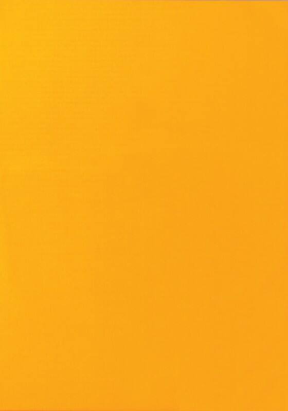 Étiquettes multifonctions VIK-540-OE Orange fluo Rectangulaire 25 étiquettes par paquet