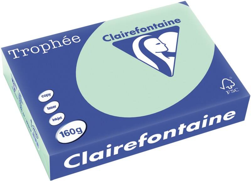 Papier couleur A4 Clairefontaine Vert 160 g/m² Mat 250 Feuilles
